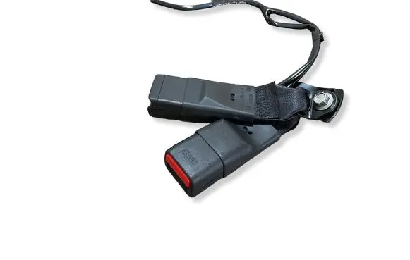 Nissan Leaf II (ZE1) Rear seatbelt buckle 6262419