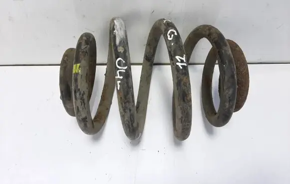 Rear coil spring