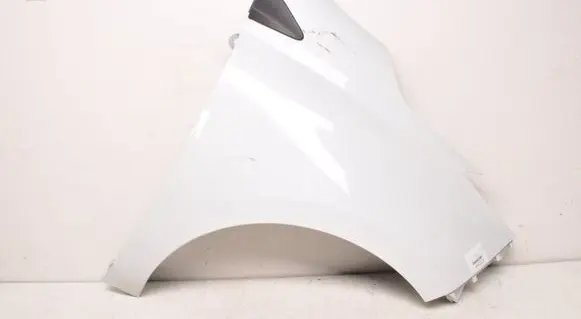 Renault Zoe Fender 