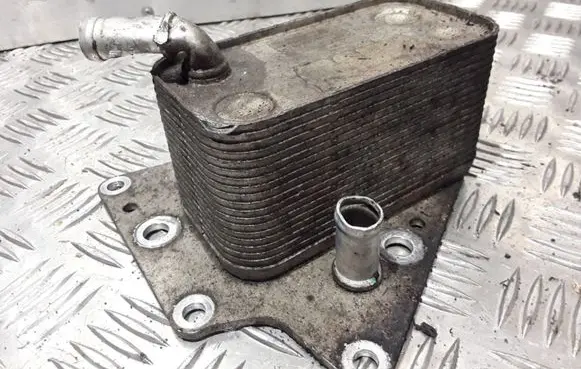 Oil filter mounting bracket