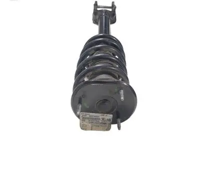 Dodge Durango Front shock absorber with coil spring 68029501AE 1A14973A P05168200AB