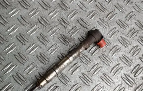 Mercedes-Benz Sprinter W906 Fuel injector 28342997DJ 7P0SLU826E 2YBLPB9AS2
