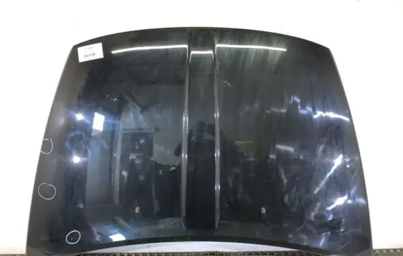 Engine bonnet/hood