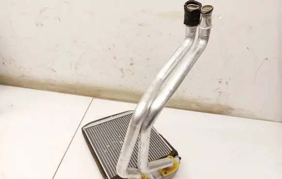 Dacia Sandero Heater blower radiator 5R5810100