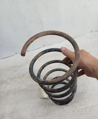 Front coil spring