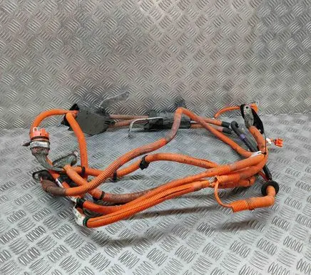 Lexus RX 450H Other wiring loom BC169430WB3 BC169430WB