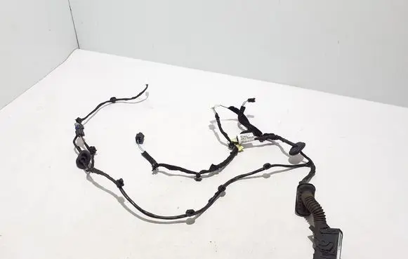Renault Austral Other wiring loom 241278452R