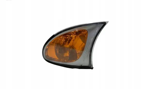BMW 3 E46 Front indicator light 7165851