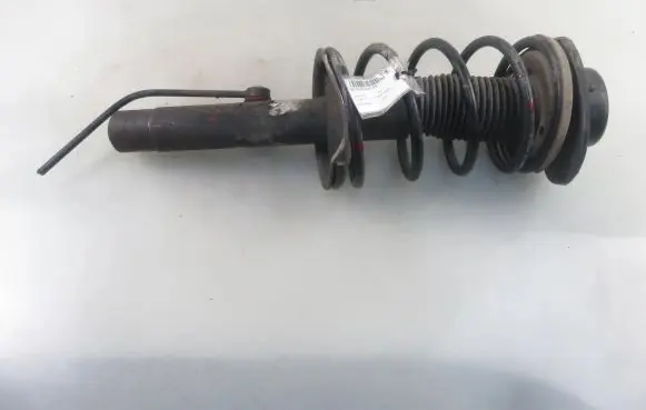 Peugeot 206 Front shock absorber with coil spring
