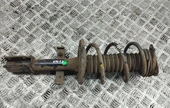 Renault Zoe Front shock absorber with coil spring