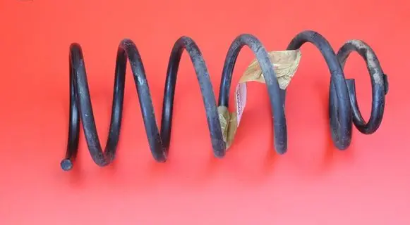 Rear coil spring