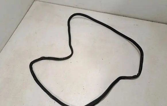 BMW 4 G22 G23 G24 G26 Trunk rubber seal (body) 7487559 5A35907