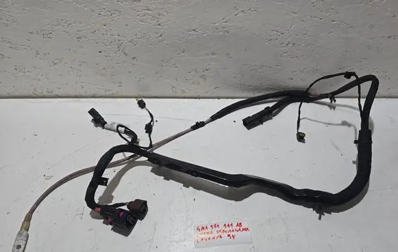 Other wiring loom