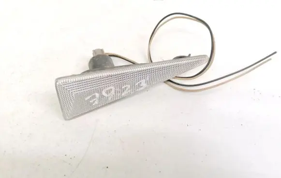 Front fender indicator light