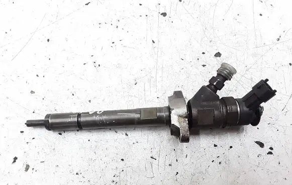 Citroen C3 Picasso Fuel injector 0445110311