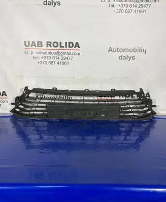 Renault Megane IV Front bumper lower grill 622542307R