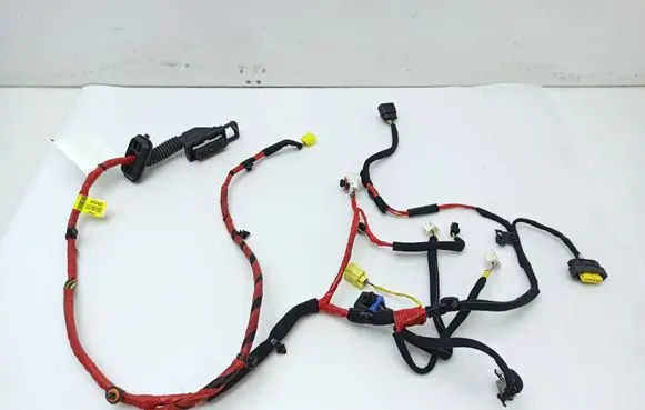 Front door wiring loom