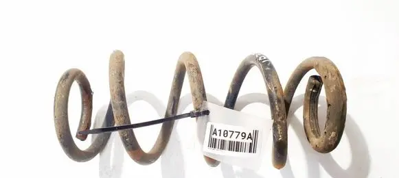 Rear coil spring
