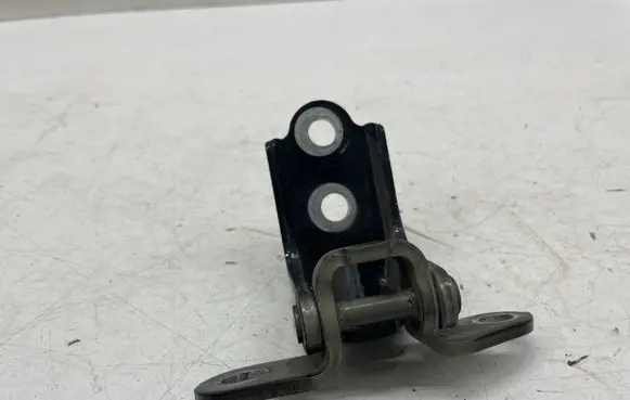 KIA Niro Rear door lower hinge