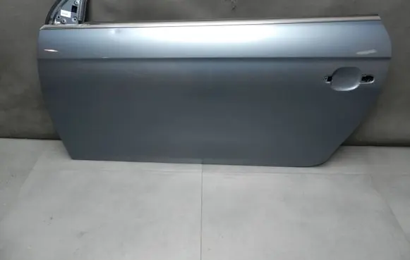 Volkswagen Eos Front door