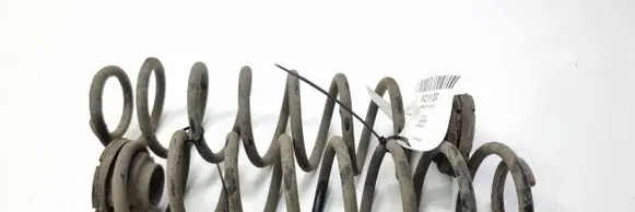 Skoda Fabia Mk1 (6Y) Rear coil spring