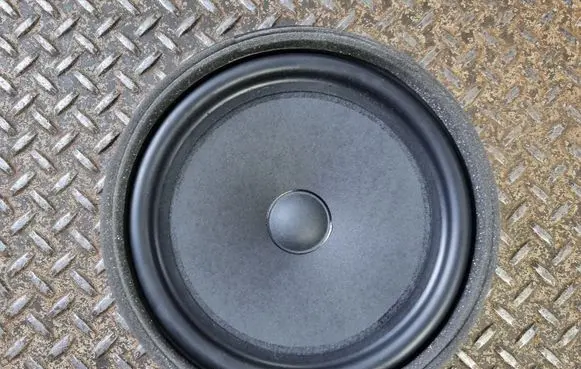 Front door speaker