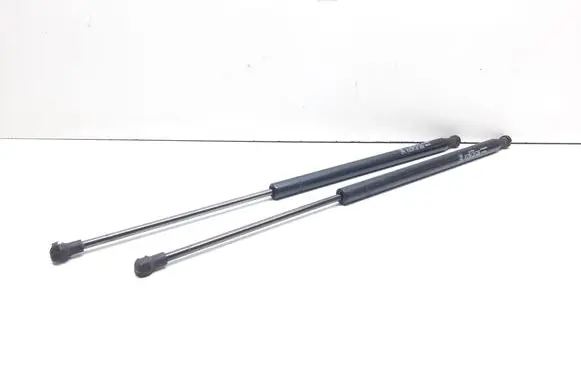 Tailgate/trunk strut/damper