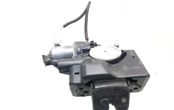 Toyota RAV 4 (XA40) Tailgate/trunk/boot lock/catch/latch 1638000790