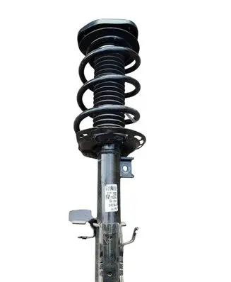 Ford Kuga III Front shock absorber with coil spring LX61-18K001-EME