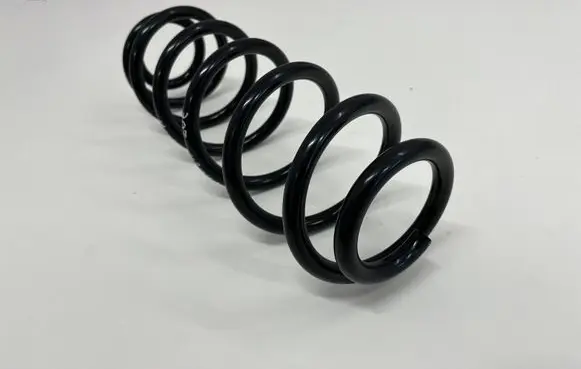 Volkswagen New Beetle Rear coil spring