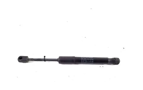 Tesla Model Y Front bonnet/hood damper/strut 169257600A