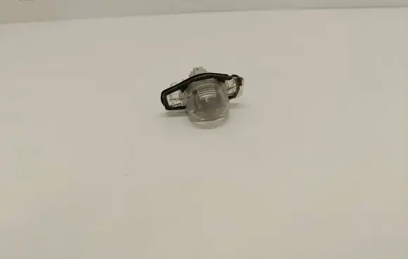 Trunk door license plate light bar