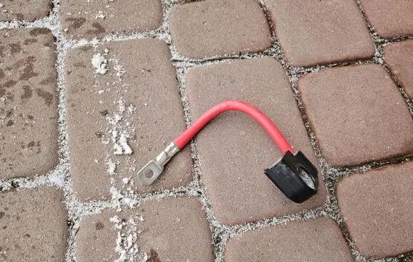 Positive wiring loom