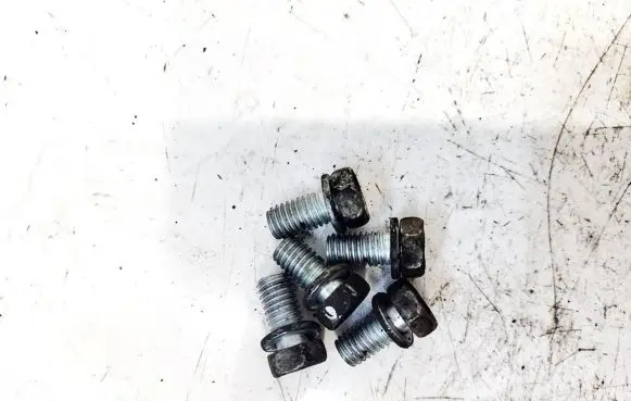 Nuts/bolts