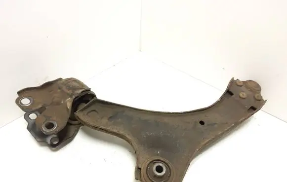 Front lower control arm/wishbone