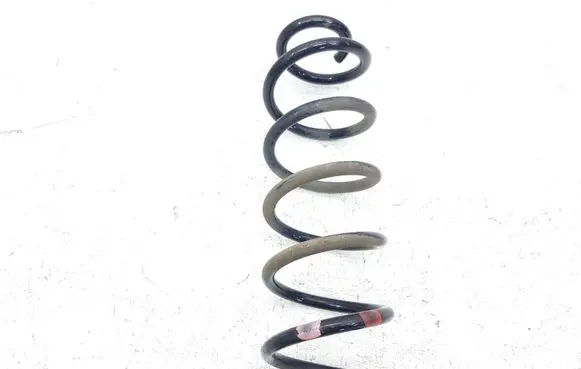 Nissan Qashqai Rear coil spring
