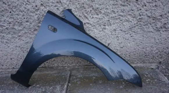 Ford Focus Fender