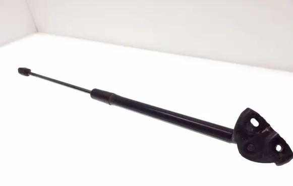 Renault Megane III Tailgate/trunk strut/damper 844300009R