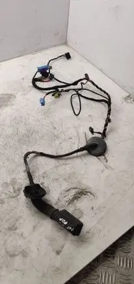 Front door wiring loom