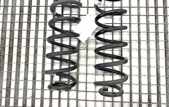 Rear coil spring