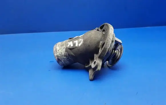 Thermostat/thermostat housing