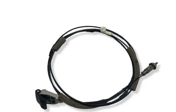 Toyota RAV 4 (XA50) Fuel tank opening switch 