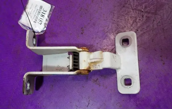 Dacia Dokker Front door lower hinge R9913R00001