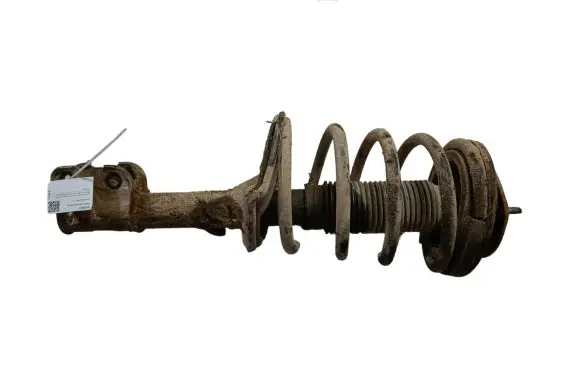 Hyundai Santa Fe Front shock absorber with coil spring