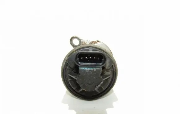 Chevrolet Kalos EGR valve