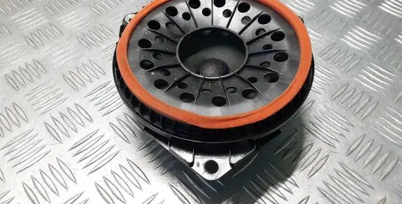 Rear door speaker