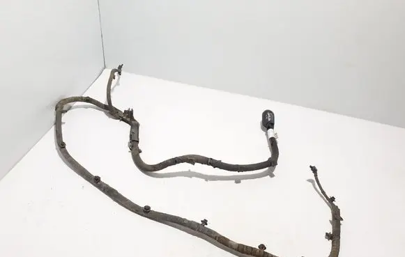 Renault Kangoo III Other wiring loom 240147451S