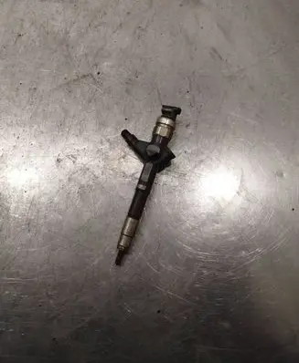 Nissan Navara D40 Fuel injector 16600eb300