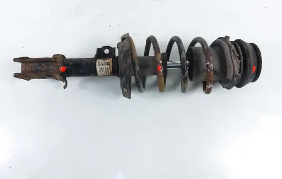 Opel Meriva A Front shock absorber with coil spring 
