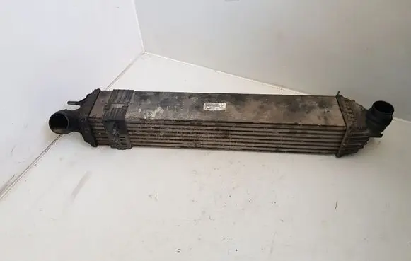 Renault Laguna III Intercooler radiator 144960001R